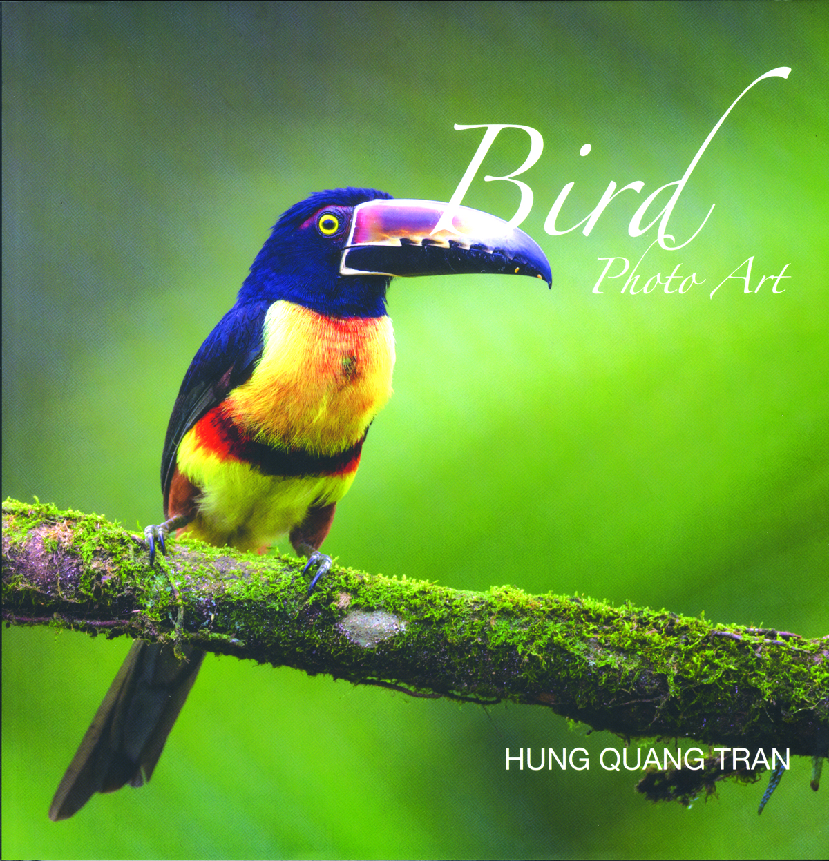 Bird Photo Art